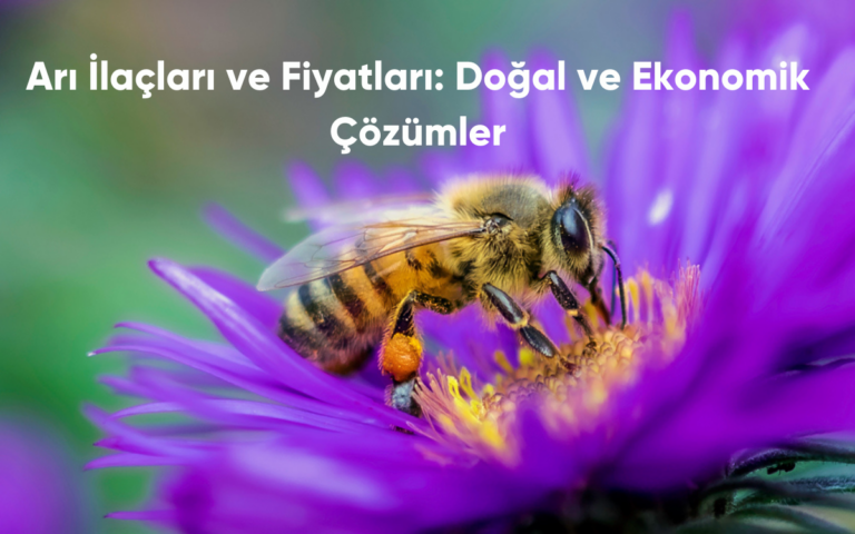 Arı İlaçları ve Fiyatları: Doğal ve Ekonomik Çözümler