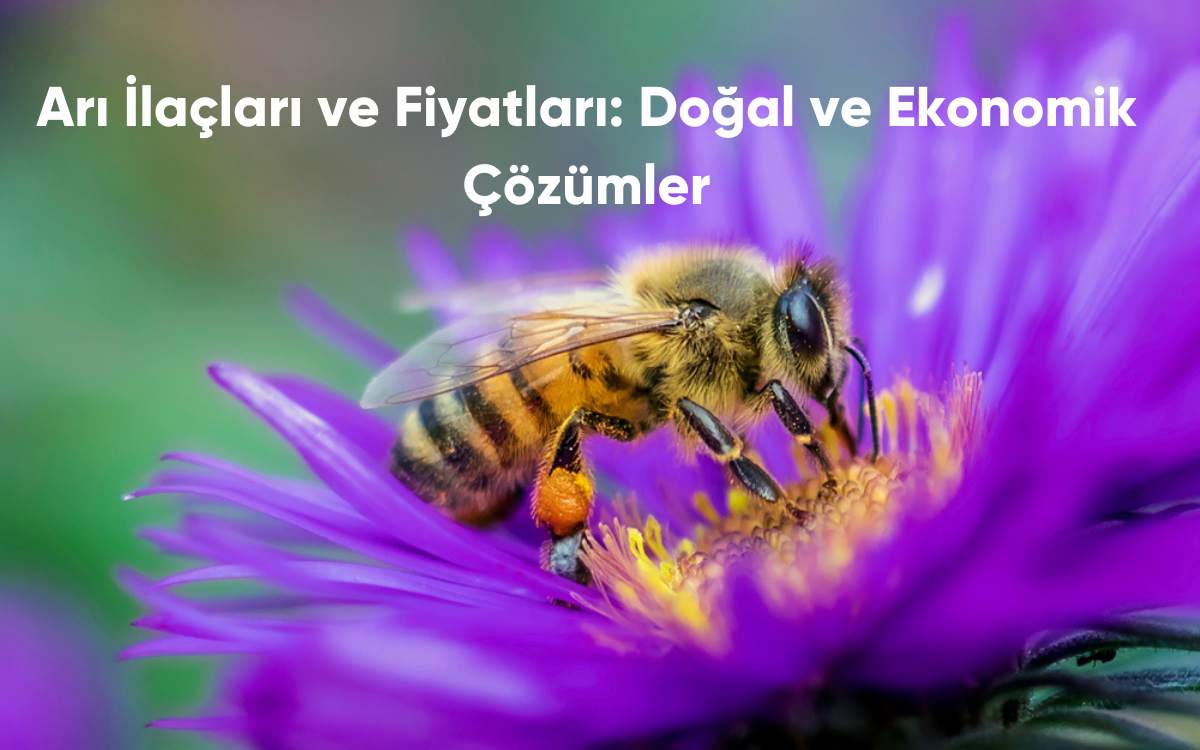 Arı İlaçları ve Fiyatları: Doğal ve Ekonomik Çözümler